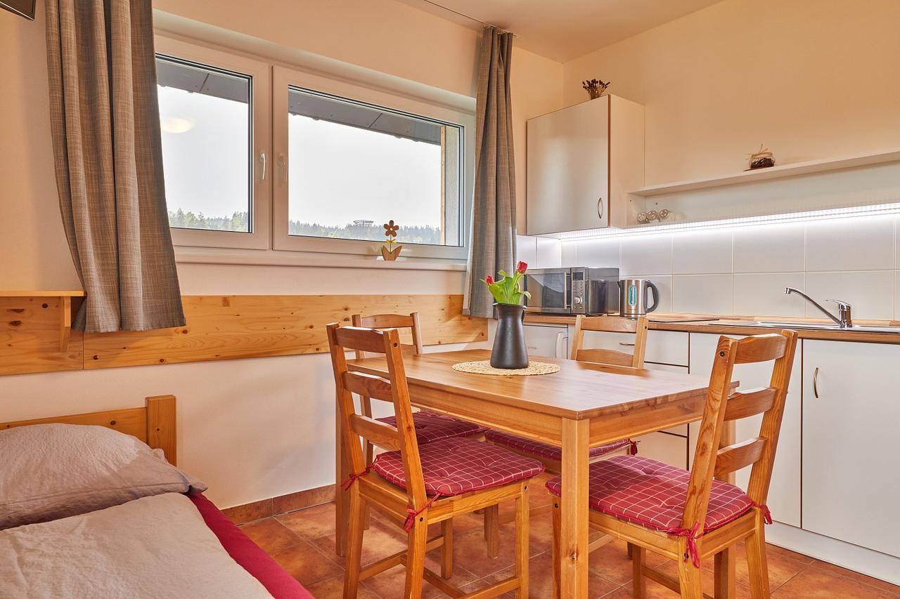 Skipension Janske Lazne Exterior foto